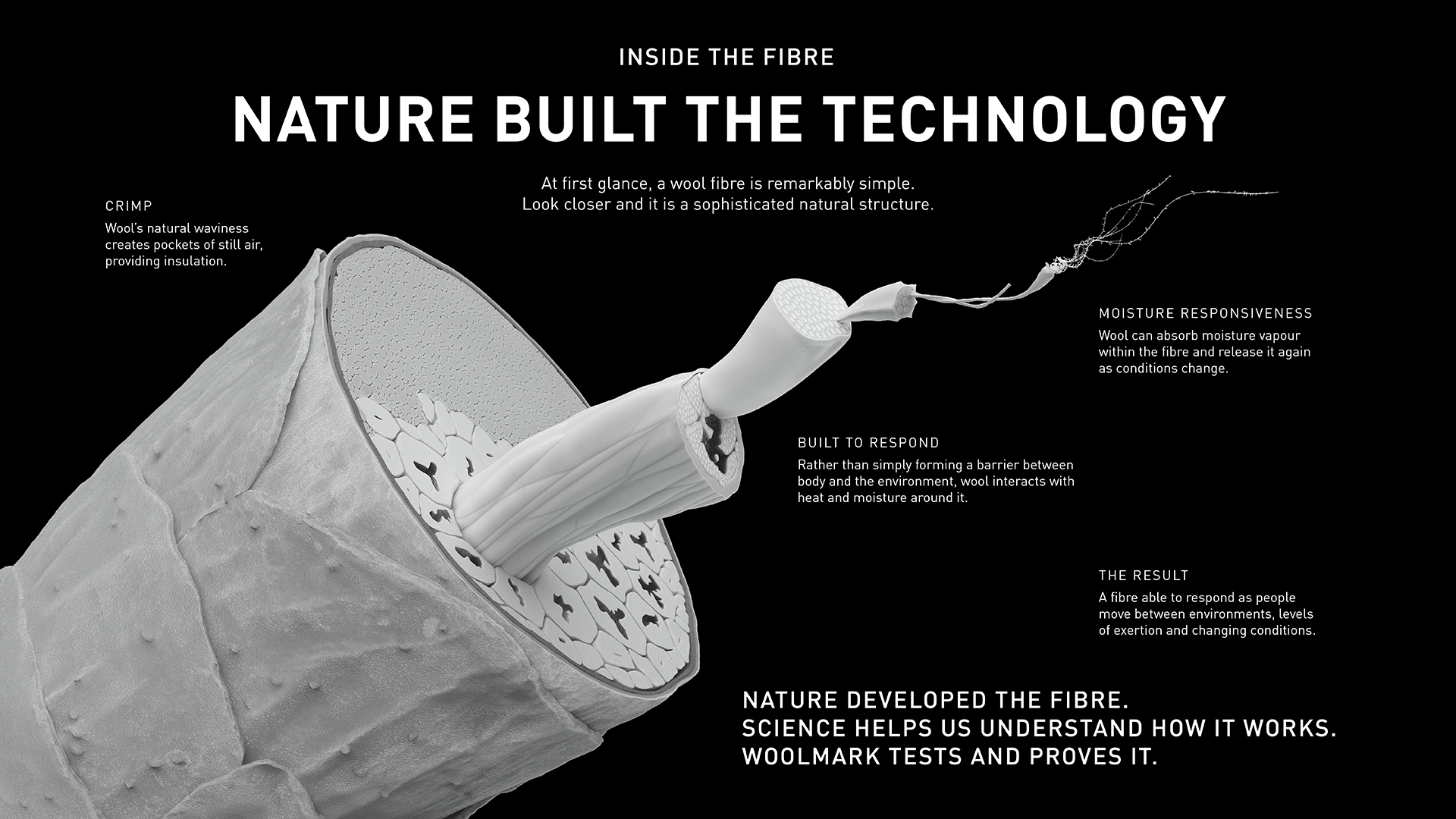 Inside the Fibre - Nature Built the Technology